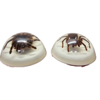 Vintage Opgezette Vogelspinnen In Epoxy Usa thumbnail 5