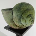 Prachtige Terracotta Slakkenhuis Met Verbazingwekkende Patina thumbnail 8