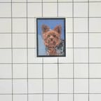 Zilveren Lijst Medium Hondje thumbnail 2