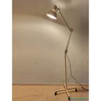 Anglepoise Lighting Floorlamp thumbnail 4