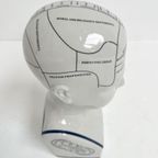 Keramieken 30 Cm Hoge Phrenology Hoofd, 1990’s thumbnail 11