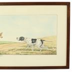 Maurice Brailly Franse Spaniël Hond Vogels Vintage Grafiek 1972 thumbnail 3