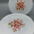 Set Arcopal Dinerborden Rose 10 Stuks thumbnail 6