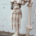 Anatomisch Model Skelet 84 Cm Hoog, 1980’S thumbnail 11