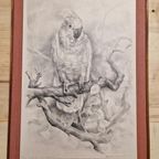 Vintage Print Of Tekening Kakatoe Schilderij Vintage thumbnail 5