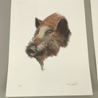 Vic Buys - 4 Grafieken Van Dieren thumbnail 7