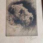 Kurt Peiser (1887-1962) Hond. thumbnail 2