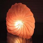 Grote Schelp/ammoniet Vorm Tafellamp, Kunststof thumbnail 11