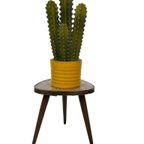 Vintage Plantentafeltje Bijzettafel Driepoot Jaren 60 Design thumbnail 3