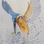 Aquarel "ijsvogel" Christine Desender thumbnail 5