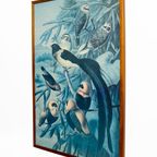 Vintage Prent “Weaver Birds” In Houten Lijst – Origineel Door Louis Prang thumbnail 3