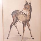 Vintage Schilderij Hertje Aquarel Tekening Gesigneerd thumbnail 2