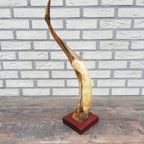 Vogel Uit Hoorn thumbnail 7