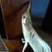 Vintage Keramiek Set Witte Boekensteun Hand Handen | Boekensteun