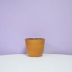 Lichtbruine West Germany Bloempot thumbnail 2
