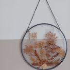 Vintage '70, Botanische Glaskunst. Gedroogde Bloemen En Planten. thumbnail 3