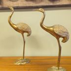 Grote Messing Kraanvogels Kraanvogel Vogels Vogel Vintage thumbnail 2