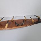 Vintage Koehoorn Mancave Kapstok. thumbnail 3