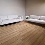 Montis Daybed Nieuw - Groen - Stof - Design thumbnail 15