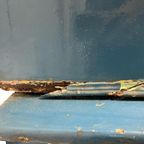 Brocante Blauwe Kast / Vitrinekast thumbnail 5