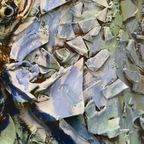 Julian Schabel, Self-portraits Of Others (van Gogh) thumbnail 12