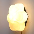 Abstract Glass Flower Ceiling Or Wall Lamp By Bega, Germany 1960S thumbnail 8
