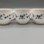 Set Arcopal Veronica Kopjes 6 Stuks thumbnail 5