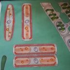 Schoolplaat Algen thumbnail 2