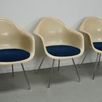 Set Of Three Parchment Fiberglass Dax Armchairs Eames For Herman Miller / Vitra thumbnail 18