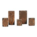 Antieke Printer Plaat Gravure Drukblok Bloemen Koper Hout Set Van 5 thumbnail 3