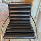 Lounge Chair Van Knoll / Ludwig Mies Van Der Rohe thumbnail 3