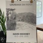 David Hockney – Woldgate, 6–7 May (2013) thumbnail 8