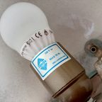 Paddenstoel Lamp Origineel Designer Herda Lamp Glas Herfst Mushroom Model Met Klimop thumbnail 5