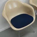 Set Of Three Parchment Fiberglass Dax Armchairs Eames For Herman Miller / Vitra thumbnail 7