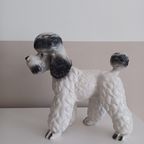 Vintage '80 Xl Poedelbeeld. Handbeschilderde Italiaanse Keramiek. thumbnail 8