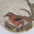 Xl Vintage West Duitse Keramische Muur Bord Vogel thumbnail 5