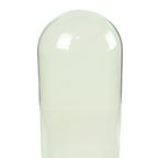 Antieke Stolp Globe Mondgeblazen Glas Begin 20ste Eeuw 46cm thumbnail 11