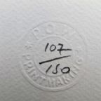 Offset Litho Naar Banksy Bird And Grenade 107/150 thumbnail 5