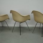 Set Van 3 Fiberglass Dax Armchairs Eames For Herman Miller / Vitra thumbnail 18