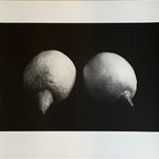 Sabine Kacunko, Out Of Sight I,2000 thumbnail 3