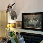 Eland Antilope thumbnail 7