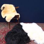 Popart, Vintage Set, Lindsey B Balkweill Stijl, Oud Roze thumbnail 25