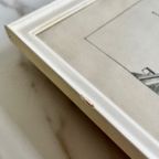 “Rijn Bij Woerden” Potlood Tekening Door C.G. Baars thumbnail 12