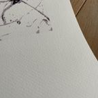 Jackson Pollock ( 1912-1956),number Iia, Copyright 2000 J. Pollock/sofam Belgique, thumbnail 7