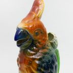 50s Saint Clement Kaketoe Keramieken Majolica Karaf 7481 thumbnail 2