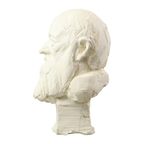 Grote Klassieke Buste Oude Man Met Baard Gips 50cm thumbnail 6
