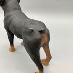 Vintage Beeld Rottweiler Handbeschilderd Italië thumbnail 4