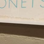 Vintage 1978 Monet Exhibition Poster, The Met Museum, Ny thumbnail 9