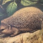 Vintage Linnen Schoolkaart – In Het Duin thumbnail 7
