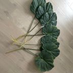 Zijden Bladeren Silk-ka Alocasia thumbnail 6
